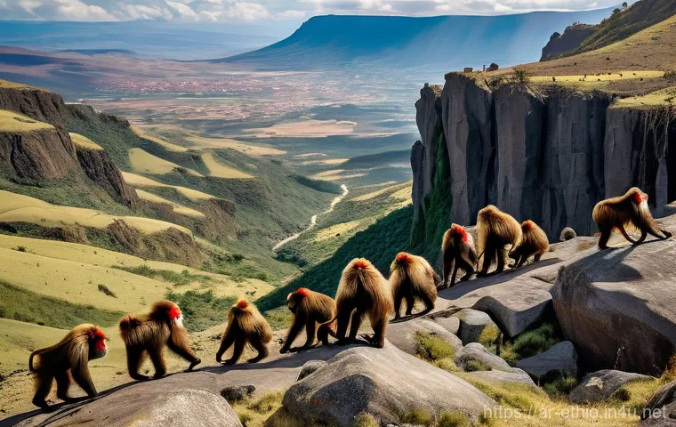 에티오피아 고원 지역의 동식물 - A rare and majestic Ethiopian wolf stands proudly on a rugged, ancient rock outcropping in the vast ...